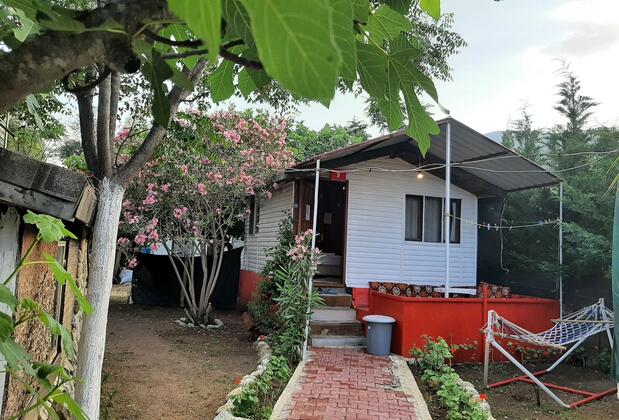 Valentina Doğa Evleri - Görsel 3