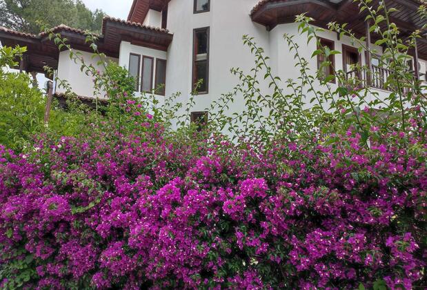 Muğla Ula Akyaka Konaklama - Görsel 4