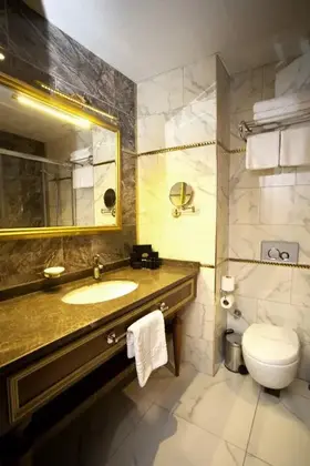 Grand Termal Yalova Resort Hotel & Spa - Görsel 33