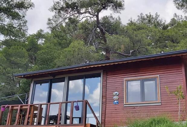 Olympos Terrace Garden - Görsel 7