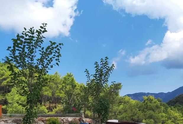 Olympos Terrace Garden - Görsel 11