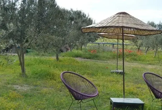 Le Petit Hotel Ve Bağ Evi - Görsel 14