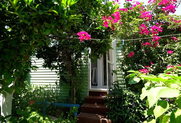 Denizci Restaurant Pansiyon Bodrum Mazı - Görsel 11