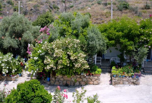 Mandalin Butik Apart & Mazı - Görsel 22