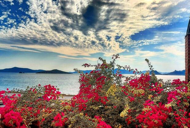 Turgutreis Aşiyan Apart Hotel - Görsel 14