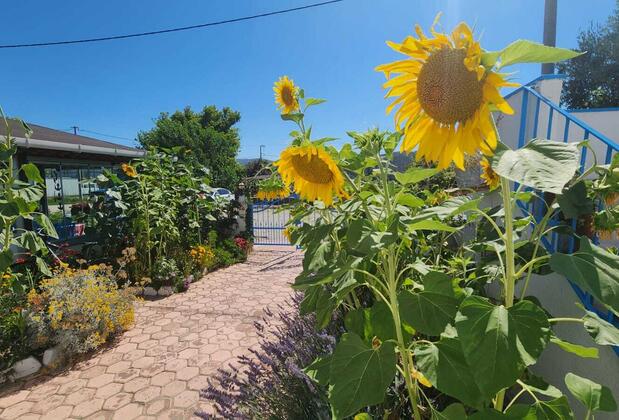 Örnek Motel - Görsel 15