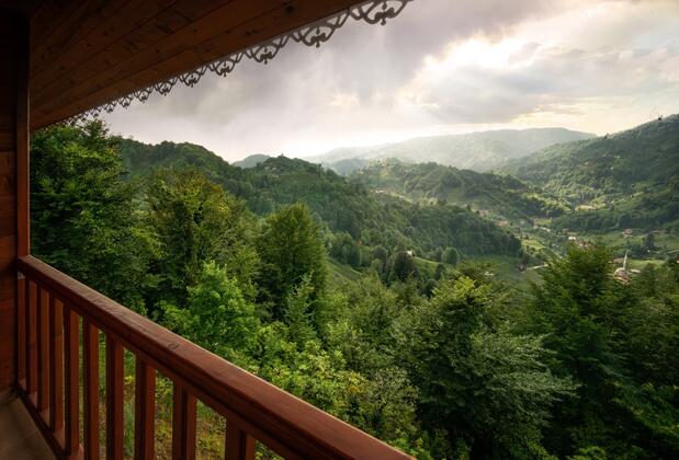 Vera Köyevi - Görsel 16