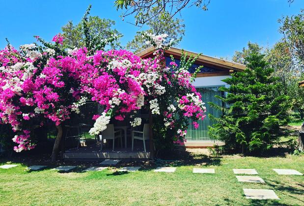 Mandalin Suites Apart - Görsel 5