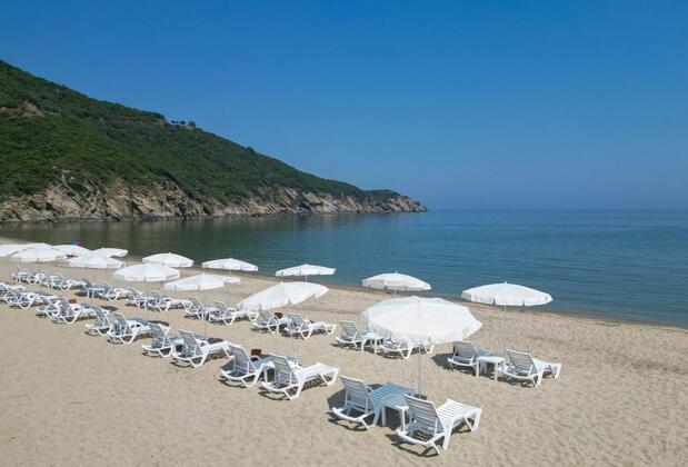 Mukha Ormanlı - Görsel 13