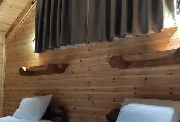 Mukha Ormanlı - Görsel 9