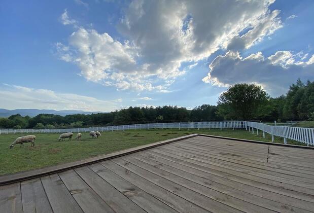 Bolu Yaban Yaşam Evleri - Görsel 17