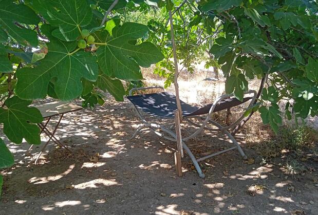 Otel Borada Bungalow & Apart - Görsel 13