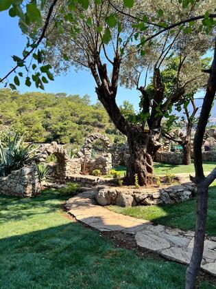 Fethiye Golden Gate Boutique Hotel - Görsel 33