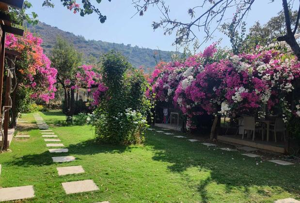 Mandalin Suites Apart - Görsel 6