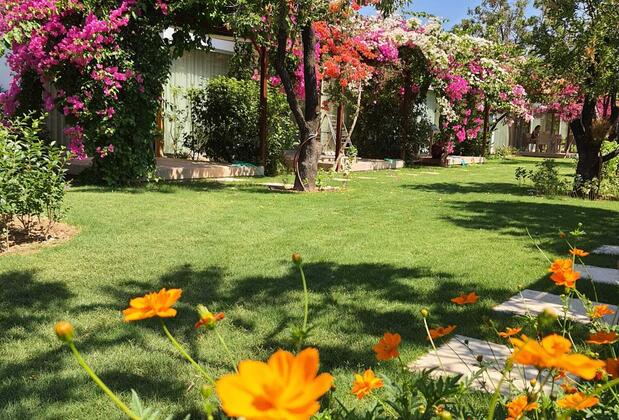 Mandalin Suites Apart - Görsel 7