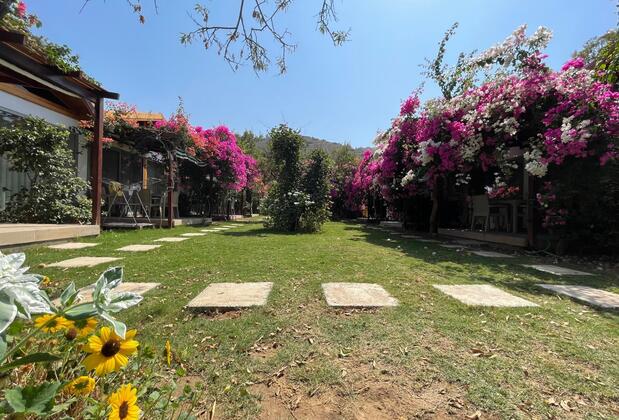 Mandalin Suites Apart - Görsel 8