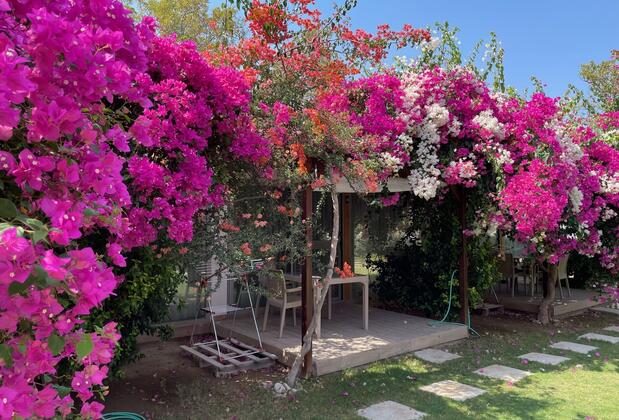 Mandalin Suites Apart - Görsel 9