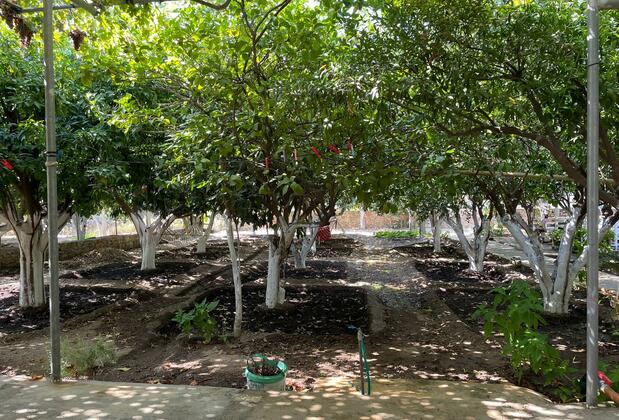 Mazı Zuhal Apart - Görsel 5