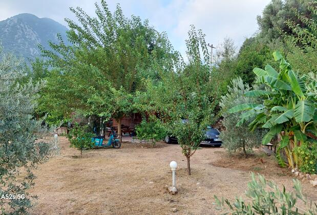 Hamiyet Öğretmenin Tatil Evi - Görsel 19
