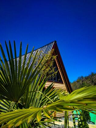 Trabzon Patika Orman Evleri - Görsel 7