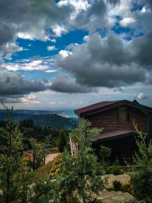 Trabzon Patika Orman Evleri - Görsel 8