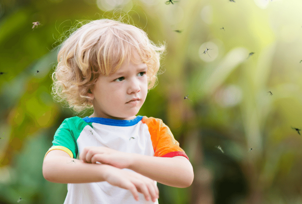 Tatilde Sivrisineklerden Nasıl Korunuruz?