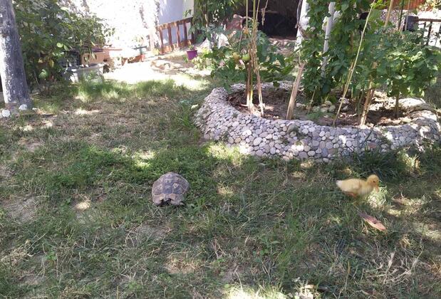 Düsseldorf Pansiyon Kuşadası - Görsel 9