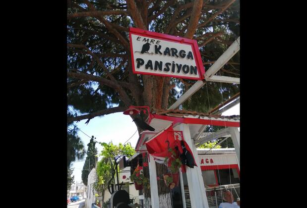 Karga Pansiyon Bodrum - Görsel 2