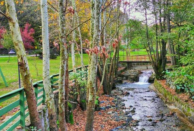 Feel Live Hotel - Görsel 21