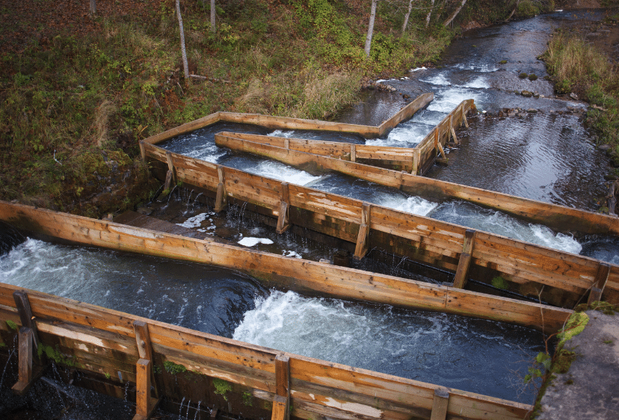 Nakkaştepe Millet Bahçesi Nerede, Nasıl Gidilir, Giriş Ücretli Mi?