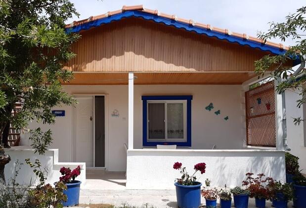 Şans Apart - Görsel 12