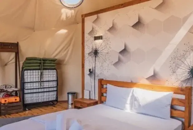 Sapanca Green Dome - Görsel 6