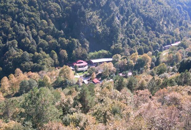 Feel Live Hotel - Görsel 3