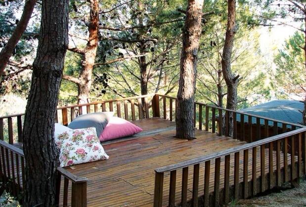 Sarı Konak Otel - Görsel 12