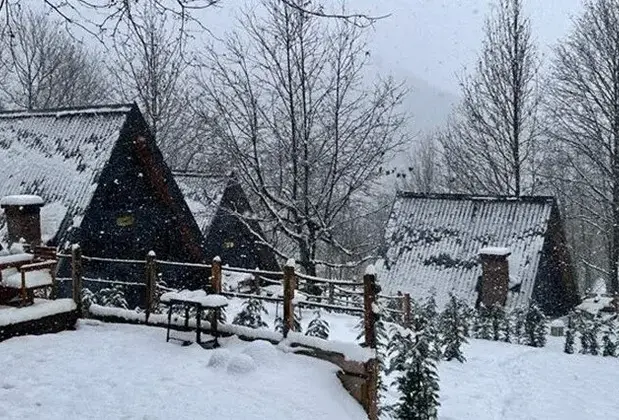 Loca Sapanca Bungalow - Görsel 5