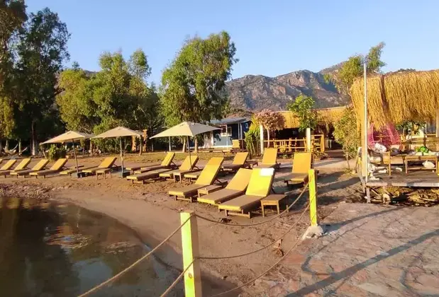 Asil Bungalows Pool  Beach - Görsel 5