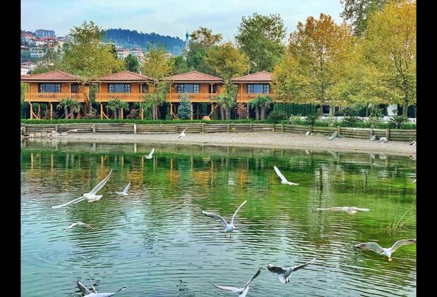 Sasa Sapanca Hotel & Restaurant - Görsel 3