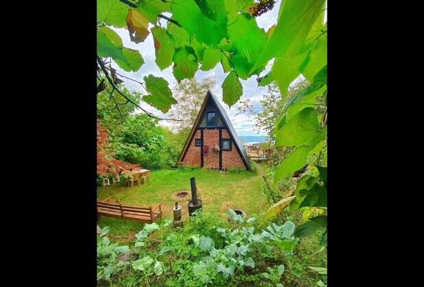 Sapanca Kelebek Vadi - Görsel 2