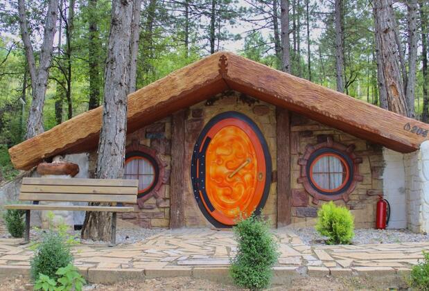 Koru Aura Mengen - Görsel 7