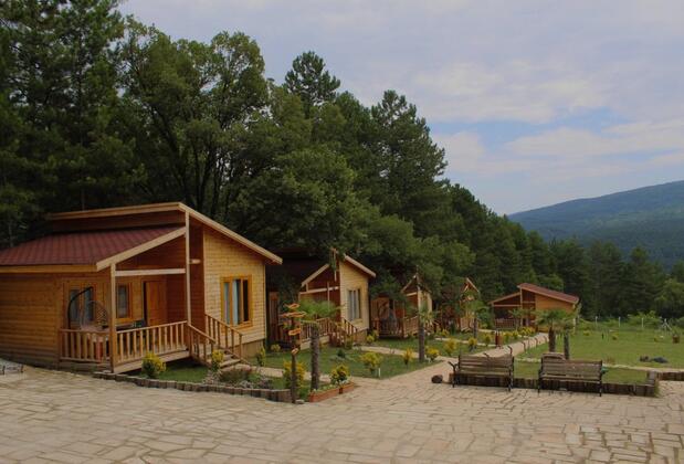 Koru Aura Mengen - Görsel 9