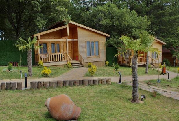 Koru Aura Mengen - Görsel 10