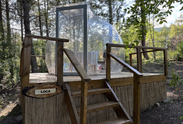 Koru Aura Mengen - Görsel 15