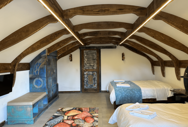 Koru Aura Mengen - Görsel 19