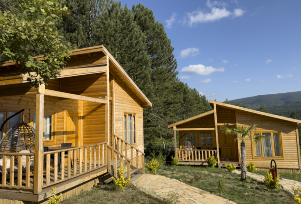 Koru Aura Mengen - Görsel 18