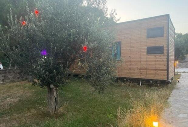 Assos Bianca Beach Hotel - Görsel 5