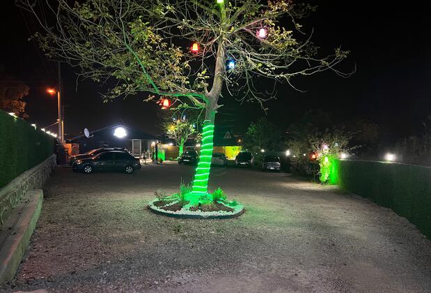 Sapanca Belis Bungalov - Görsel 8