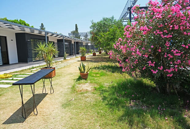 Foccus Beach Hotel - Görsel 7