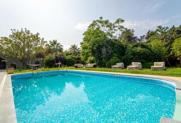 Almina Garden Boutique - Görsel 4