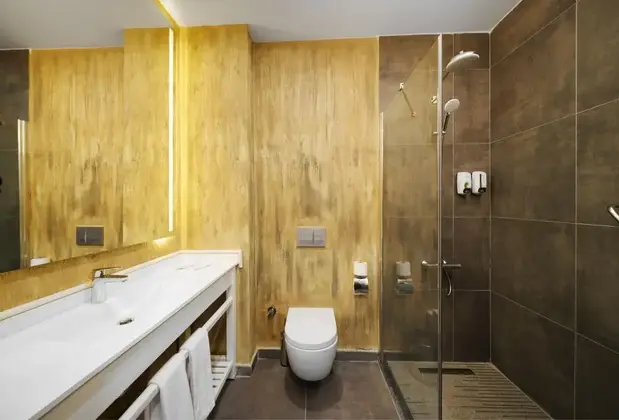 İbis İstanbul Airport Hotel - Görsel 6