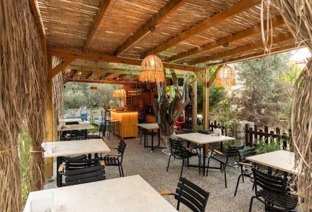 Esse Selimiye - Görsel 6